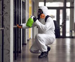 Best Forensic Mold Investigation in Eagle Mountain, UT